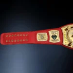 FANTASY FOOTBALL 24K GOLD Belt Spinner - Image 5