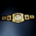 FANTASY FOOTBALL CUSTOM  24K GOLD Championship Belt - Image 3