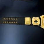 FANTASY FOOTBALL CUSTOM  24K GOLD Championship Belt - Image 7