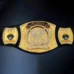 FANTASY FOOTBALL CUSTOM  24K GOLD Championship Belt - Image 5