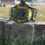 WCW WORLD HEAVYWEIGHT Brass 24k Gold Championship Belt